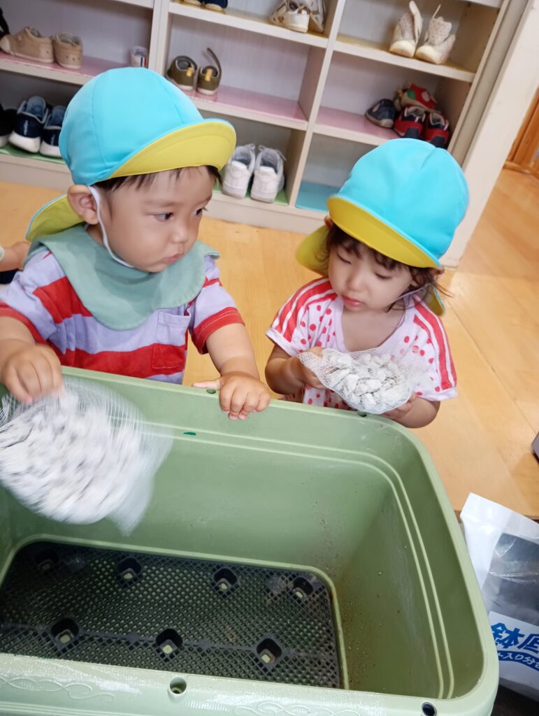 食育 野菜 栽培 保育園 きゅうり パプリカ 水やり くじら保育園 海老江 福島区保育園 福島区 大阪福島 202506-2