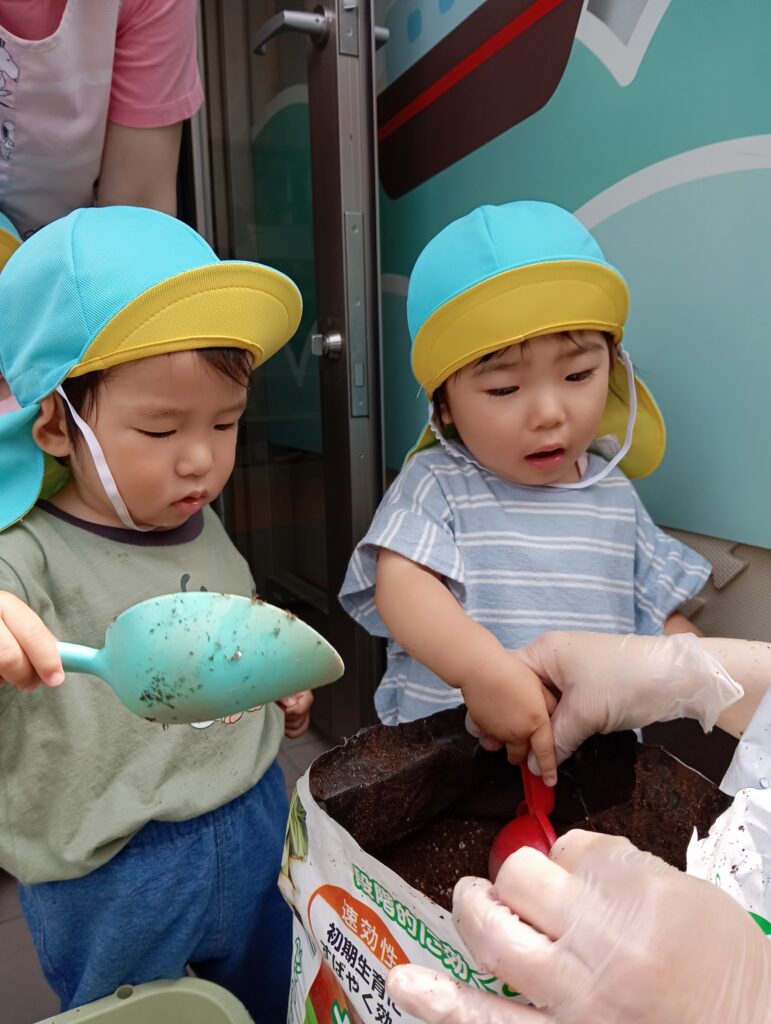 食育 野菜 栽培 保育園 きゅうり パプリカ 水やり くじら保育園 海老江 福島区保育園 福島区 大阪福島 202506-5