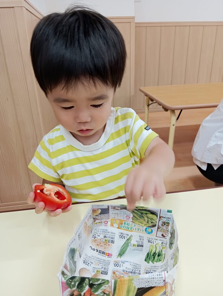 食育 栽培 収穫 パプリカ 給食 くじら保育園 海老江園 福島 大阪 福島区 保育園 202508-4