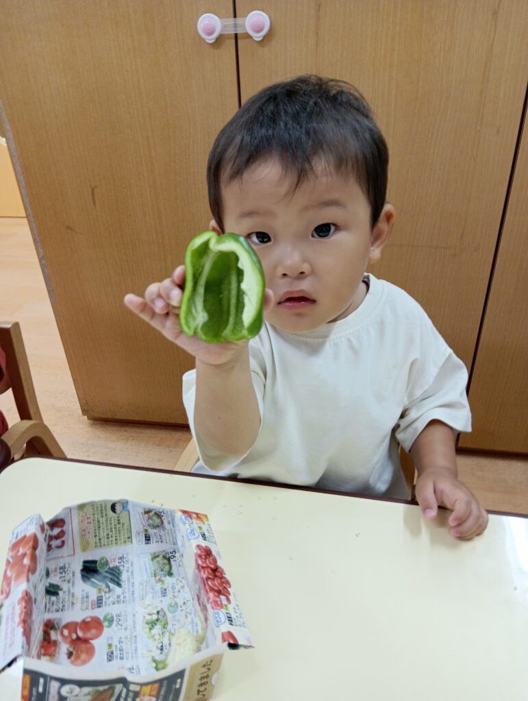 食育 栽培 収穫 パプリカ 給食 くじら保育園 海老江園 福島 大阪 福島区 保育園 202508-5