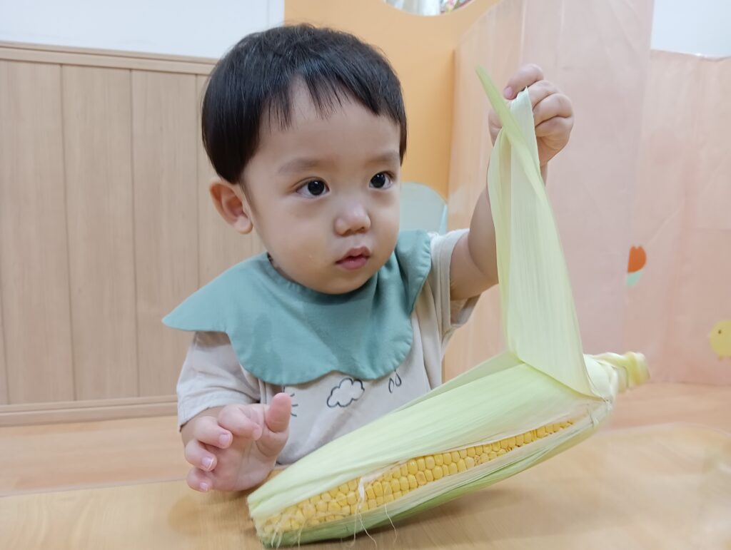 トウモロコシ　とうもろこし 皮むき　お手伝い　食育　大阪　保育園　くじら保育園　海老江　202509-2