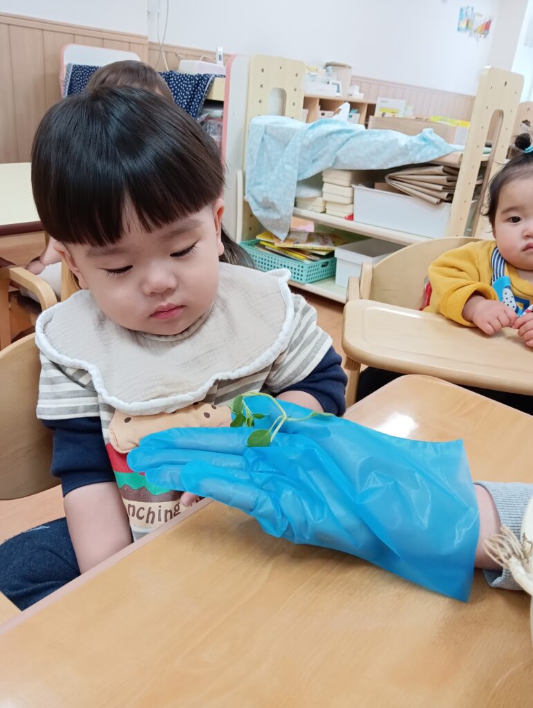 七草がゆで食育　大阪　保育園　くじら保育園 　202601-2