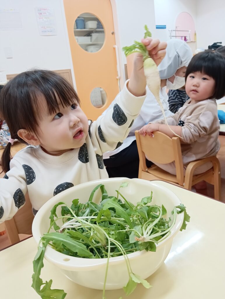 七草がゆで食育　大阪　保育園　くじら保育園 　202601-1