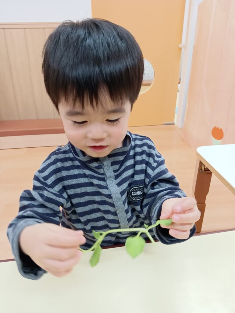 七草がゆで食育　大阪　保育園　くじら保育園 　202601-4