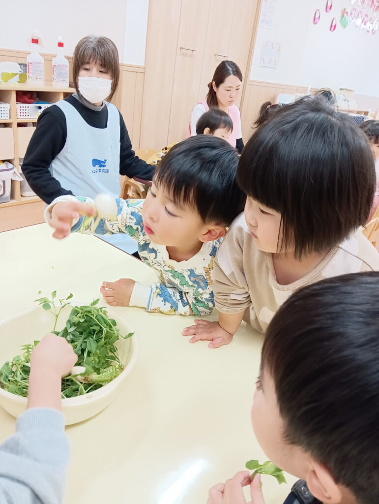 七草がゆで食育　大阪　保育園　くじら保育園 　202601-3