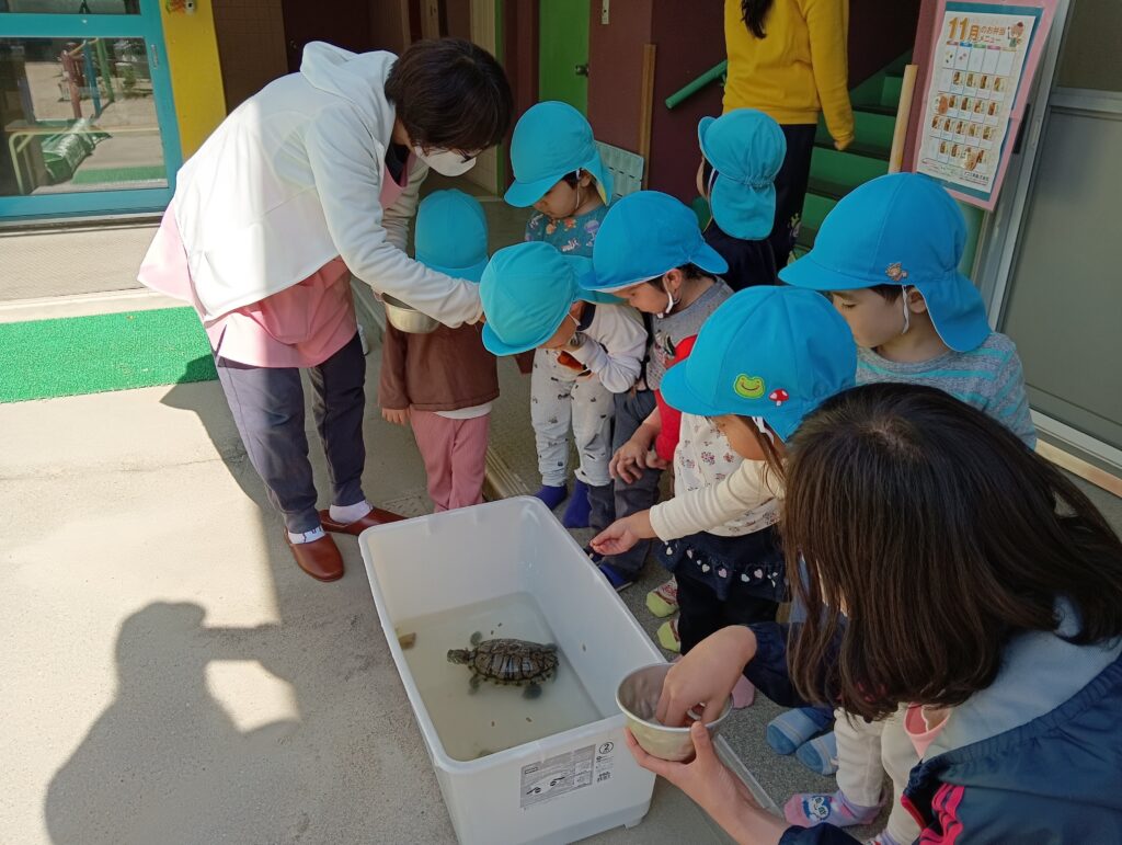 小規模保育園の連携園との交流　大阪　くじら保育園　202602-3