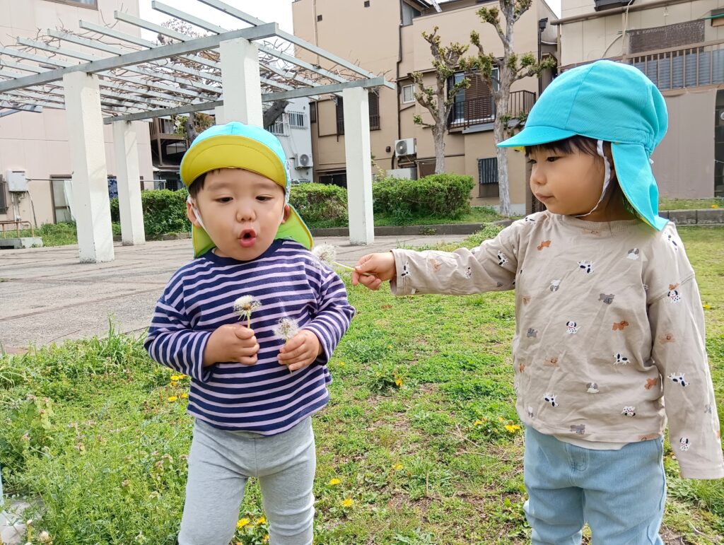 保育園の春の自然遊び　大阪　くじら保育園　202604-3