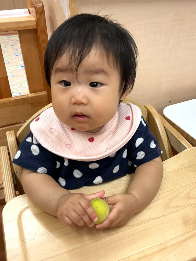 保育園で梅ジュース作り　大阪　くじら保育園　202606-2