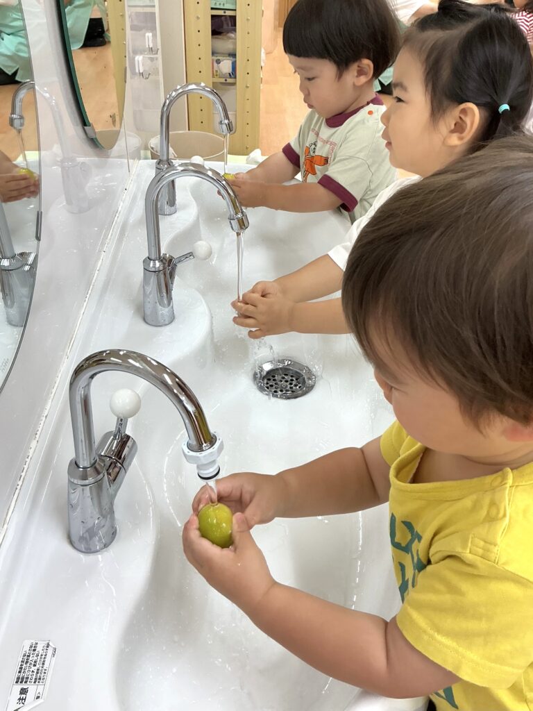 保育園で梅ジュース作り　大阪　くじら保育園　202606-4