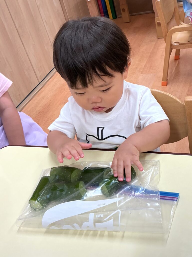 保育園の食育 栽培 クッキング 大阪 くじら保育園 202608-4