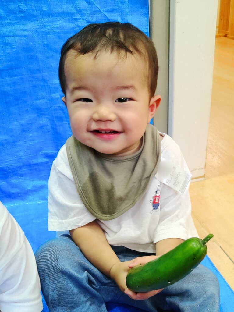 保育園の食育 栽培 クッキング 大阪 くじら保育園 202608-1