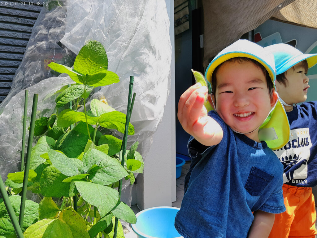 保育園の食育 栽培 クッキング 大阪 くじら保育園 202608-2
