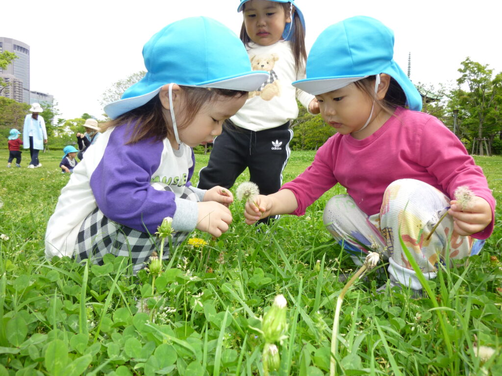 くじら保育園　都島東野田園　紹介2024-4