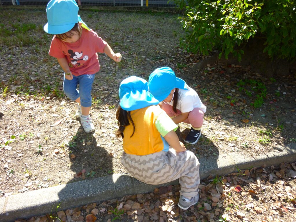 くじら保育園　都島東野田園　秋探し　202410-3