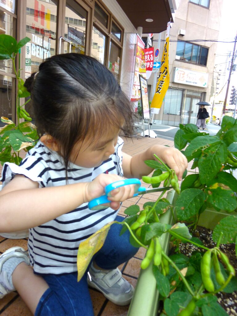 くじら保育園　都島東野田園　食育　202411-7