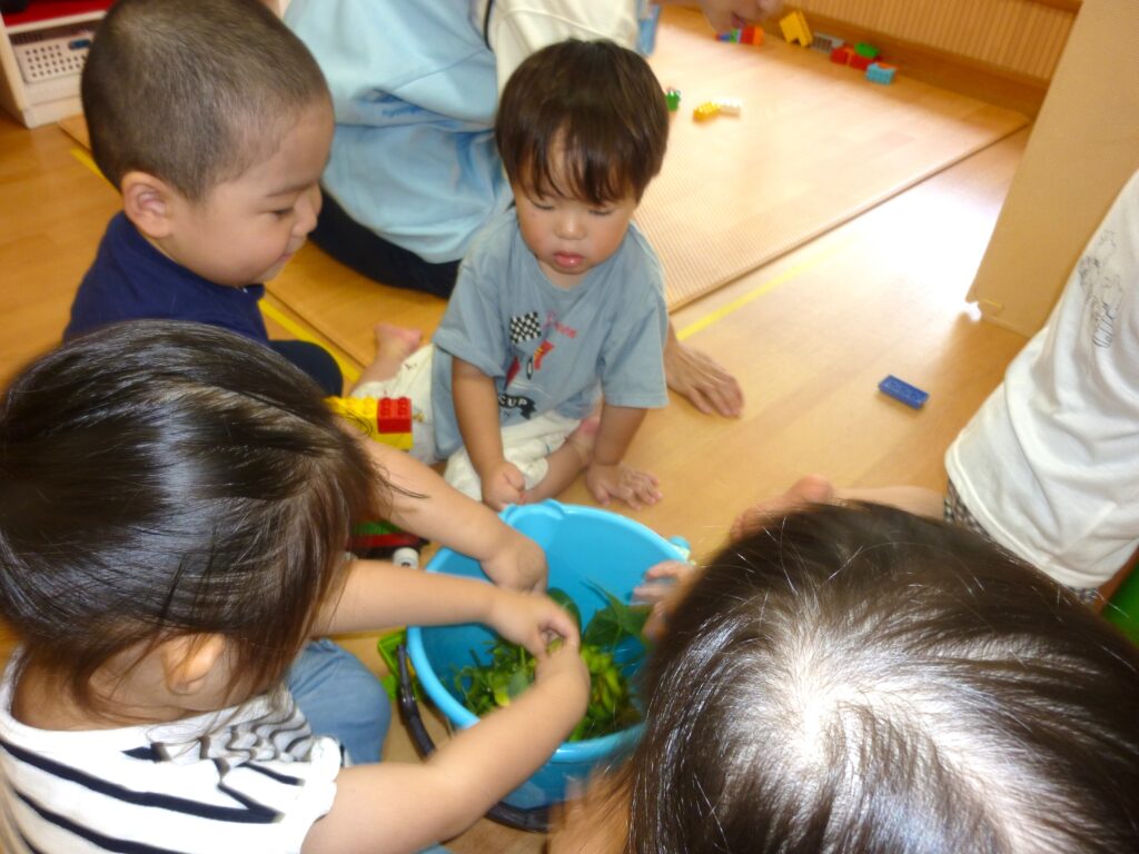 くじら保育園　都島東野田園　食育　202411-8