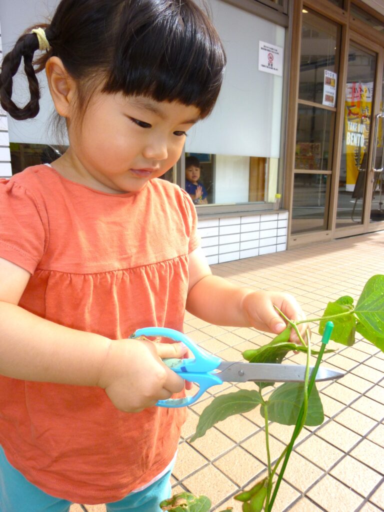 くじら保育園　都島東野田園　1年の振り返り　202412-9