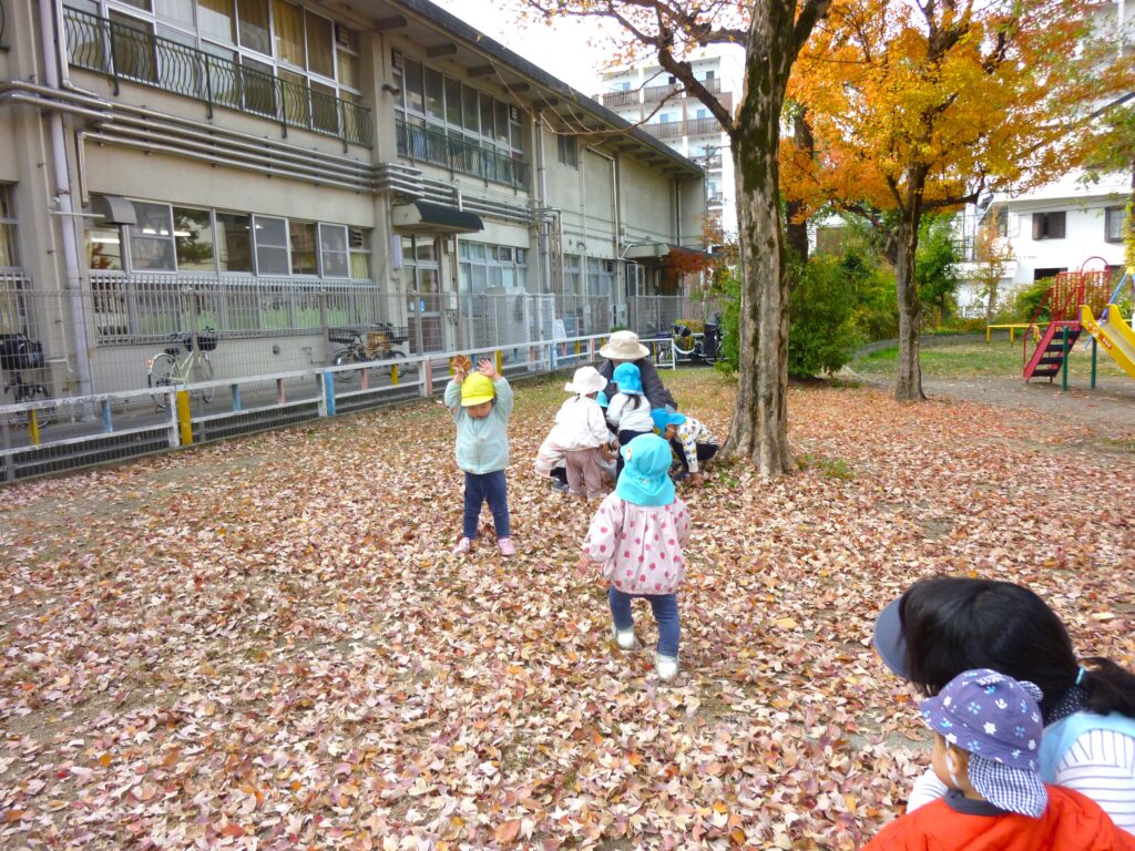 くじら保育園　東野田公園　落ち葉の絨毯　202412-5