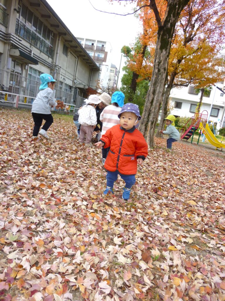 くじら保育園　東野田公園　落ち葉の絨毯　202412-4