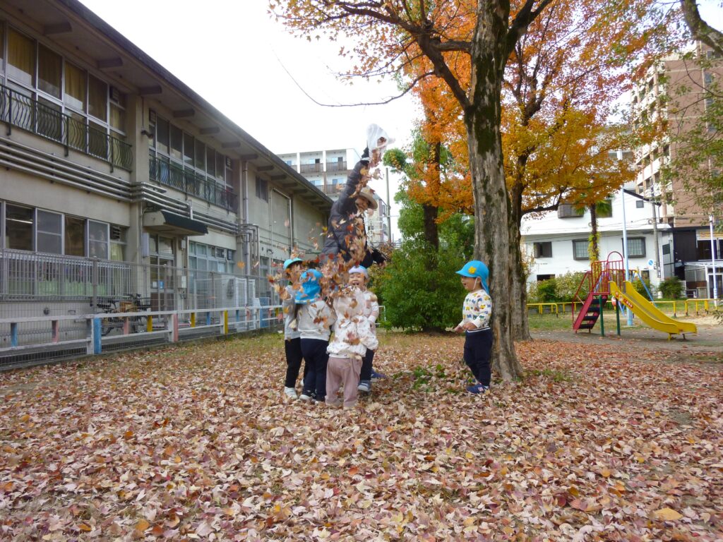 くじら保育園　東野田公園　落ち葉の絨毯　202412-3