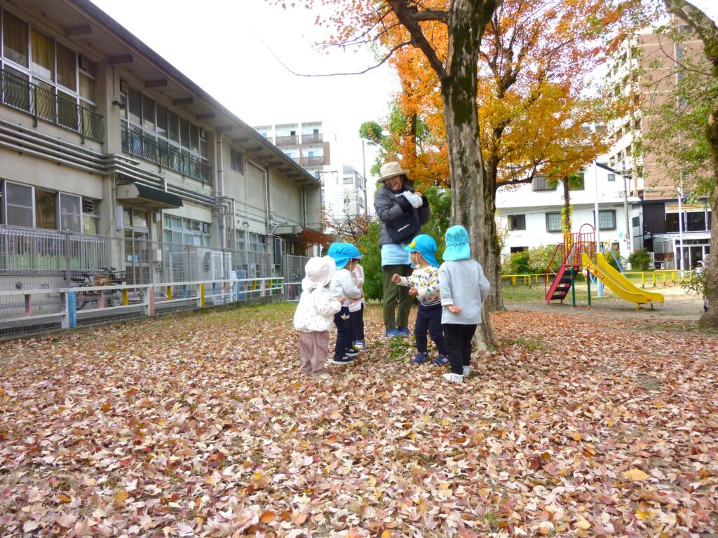 くじら保育園　東野田公園　落ち葉の絨毯　202412-6