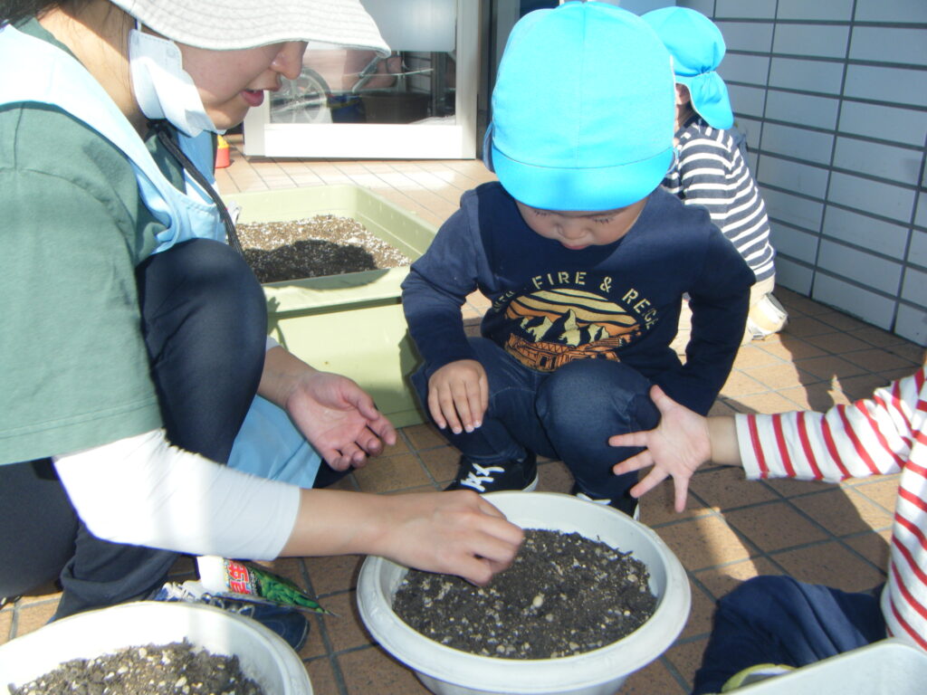 枝豆　えだまめ　食育　栽培　栽培日記　水やり　給食　くじら保育園　都島区　都島東野田　大阪　202505-2