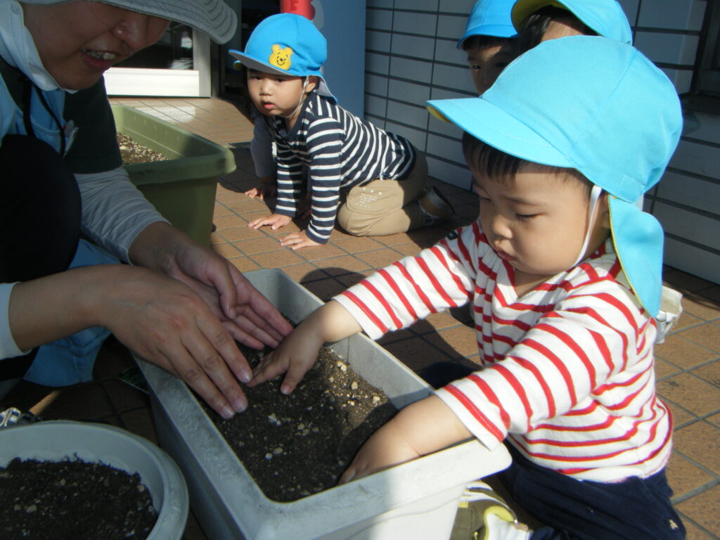 枝豆　えだまめ　食育　栽培　栽培日記　水やり　給食　くじら保育園　都島区　都島東野田　大阪　202505-5