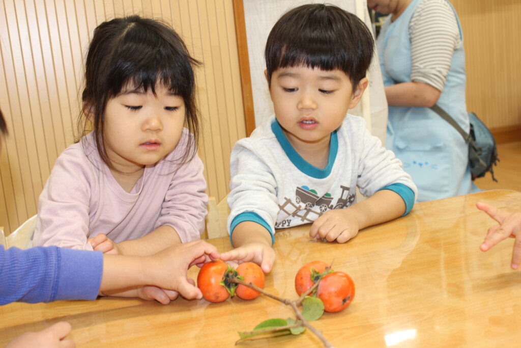保育園　食育　柿の木　くじら保育園　大阪　202512-3