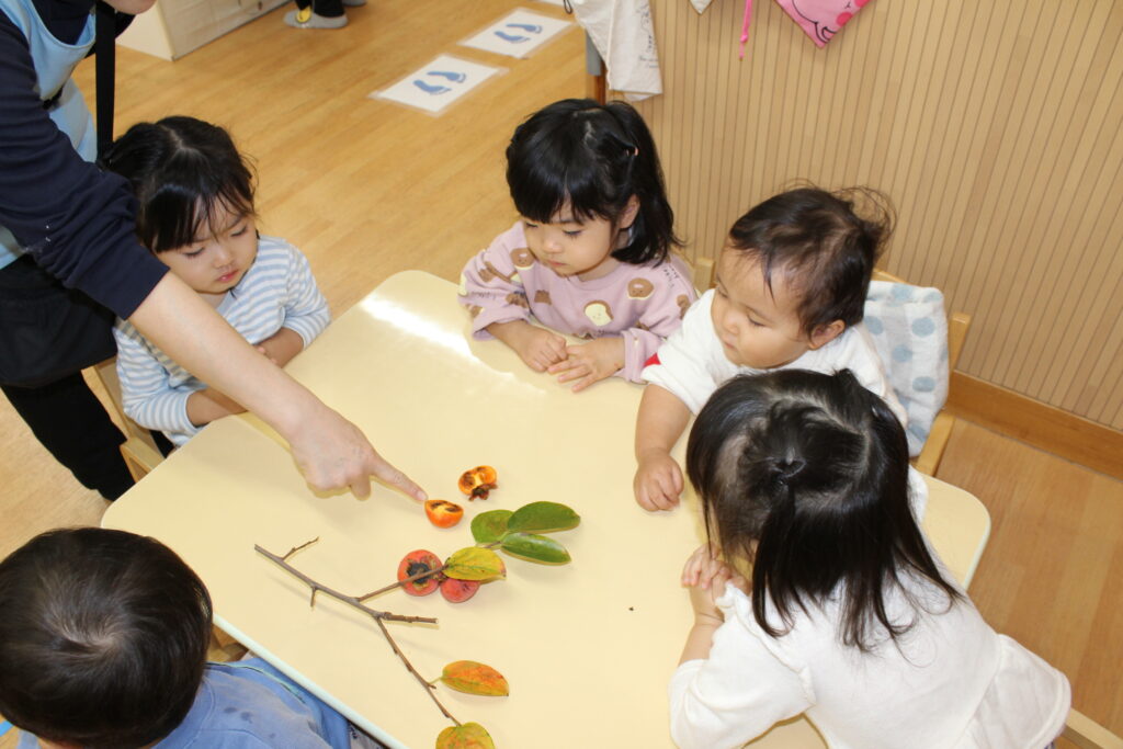 保育園　食育　柿の木　くじら保育園　大阪　202512-5
