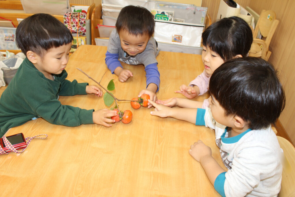 保育園　食育　柿の木　くじら保育園　大阪　202512-4