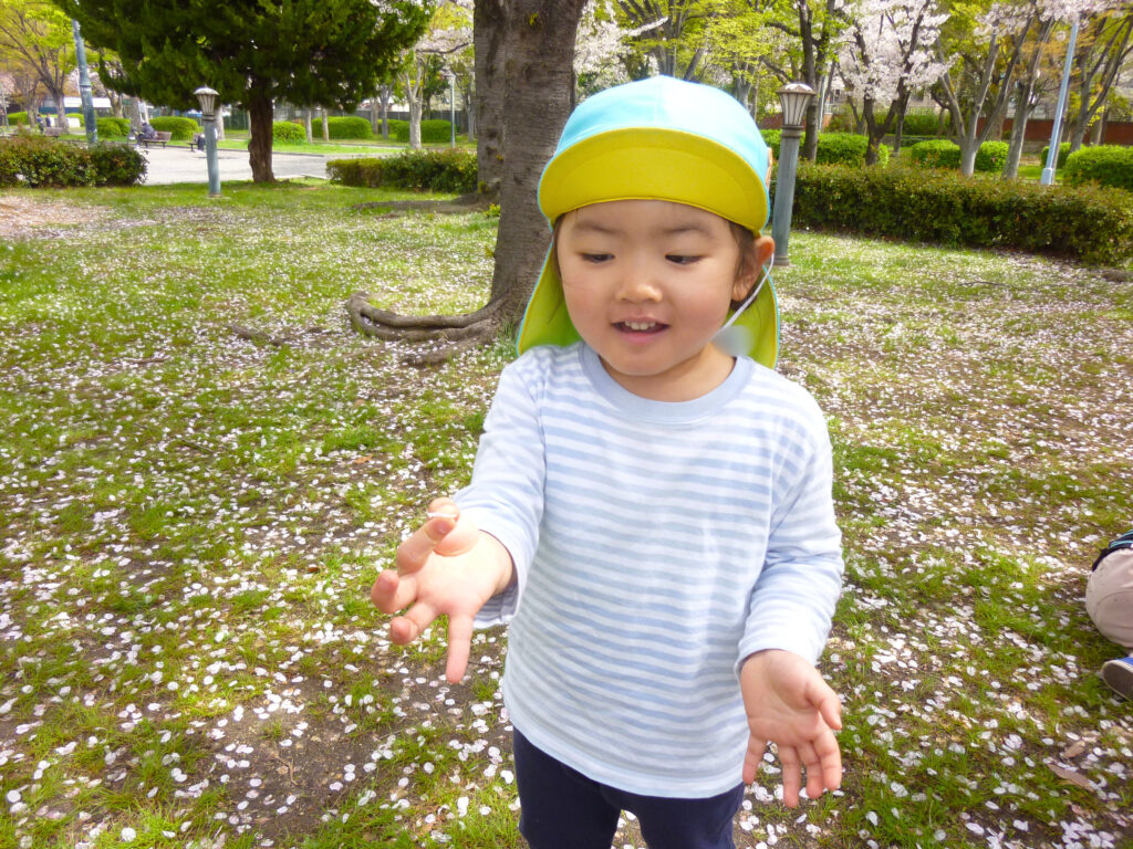 保育園のお散歩　桜　大阪　くじら保育園　202604-2