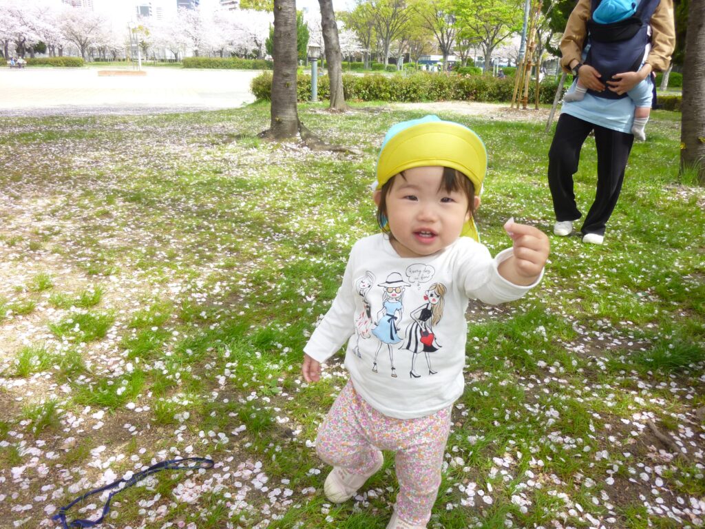 保育園のお散歩　桜　大阪　くじら保育園　202604-4