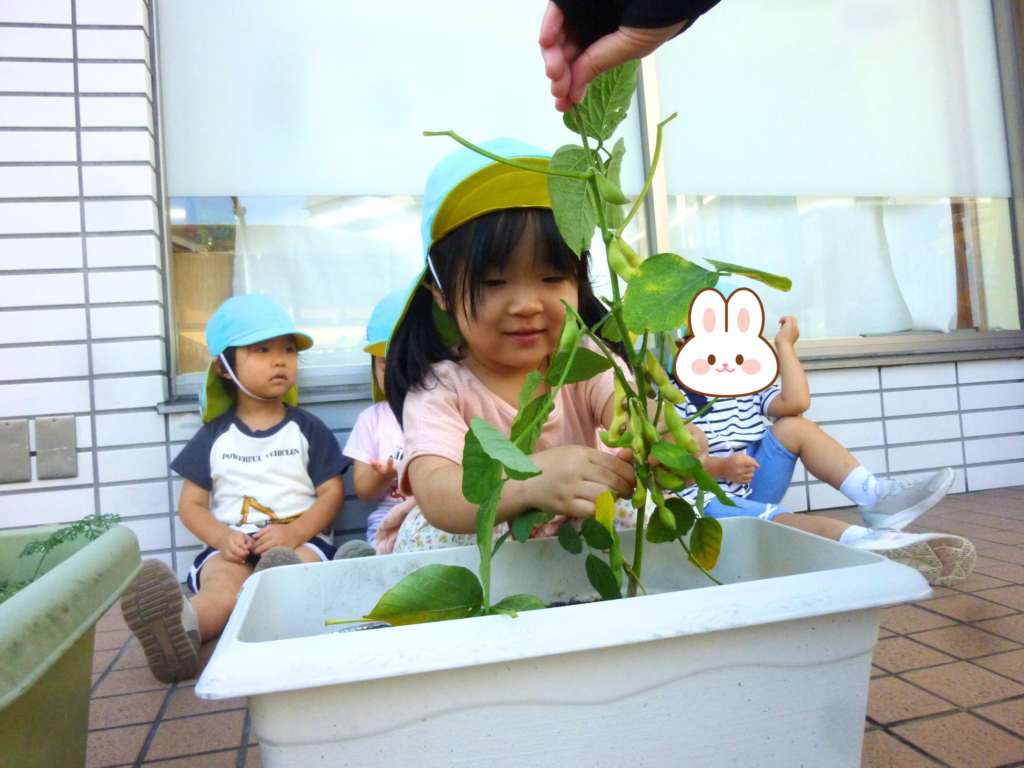 保育園　野菜栽培で食育　大阪　くじら保育園 2026209-1