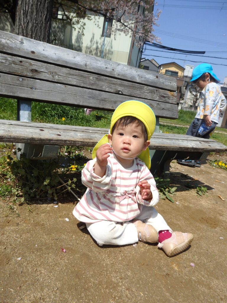 くじら保育園 姫島園 姫島公園 お散歩 春 タンポポ 202504-5