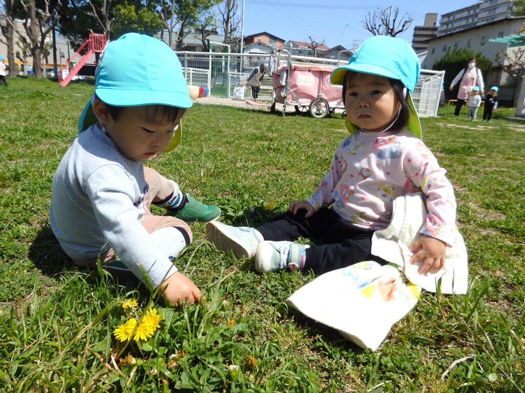 くじら保育園 姫島園 姫島公園 お散歩 春 タンポポ 202504-4
