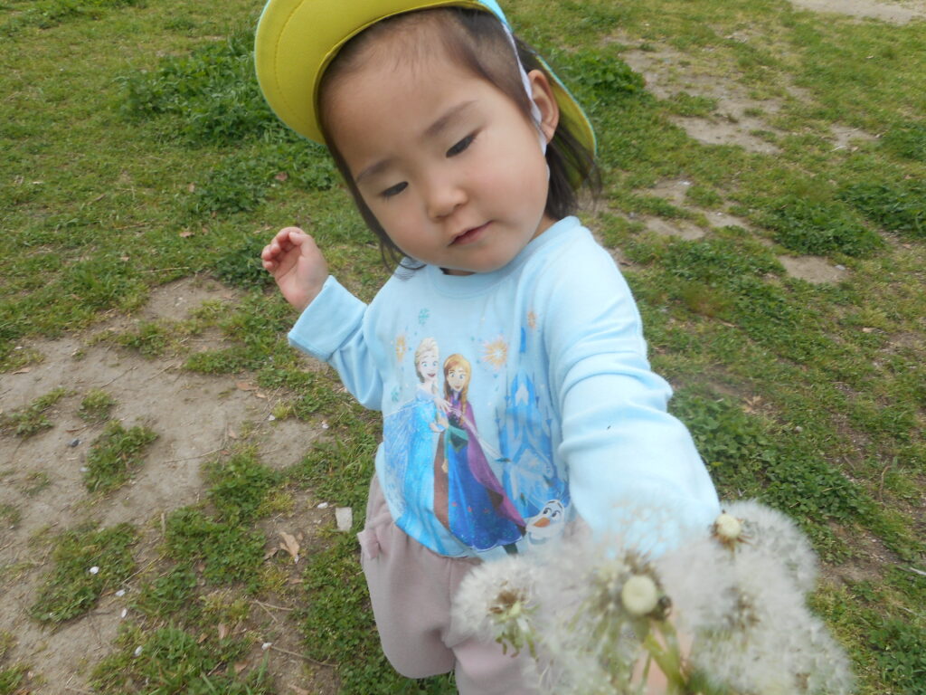 大阪 保育園 くじら保育園 姫島 5