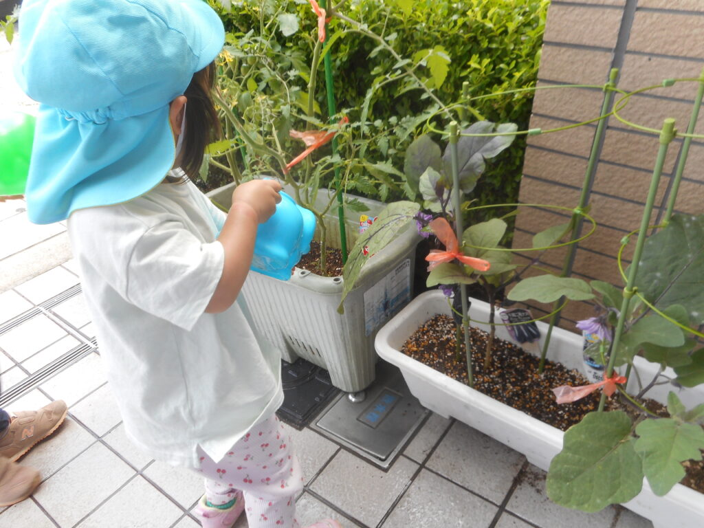 大阪 保育園 くじら保育園 姫島 8