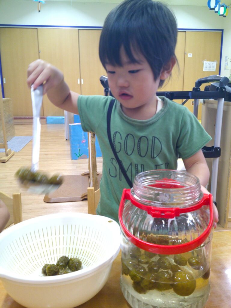 梅ジュース 梅 食育 くじら保育園 姫島園 西淀川区 大阪 保育園 202508-2