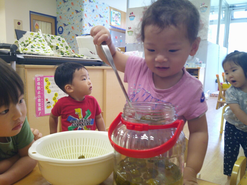 梅ジュース 梅 食育 くじら保育園 姫島園 西淀川区 大阪 保育園 202508-5