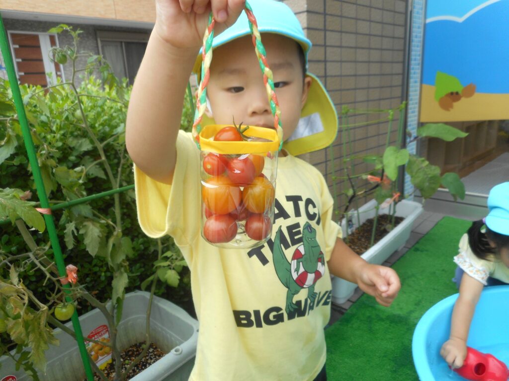 保育園　食育　野菜栽培　大阪　くじら保育園　202609-8