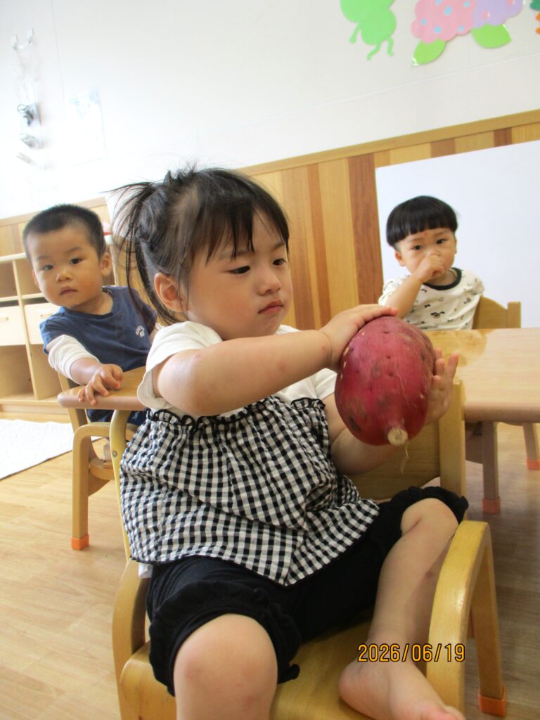 保育園　食育　野菜栽培　大阪　くじら保育園　202609-5