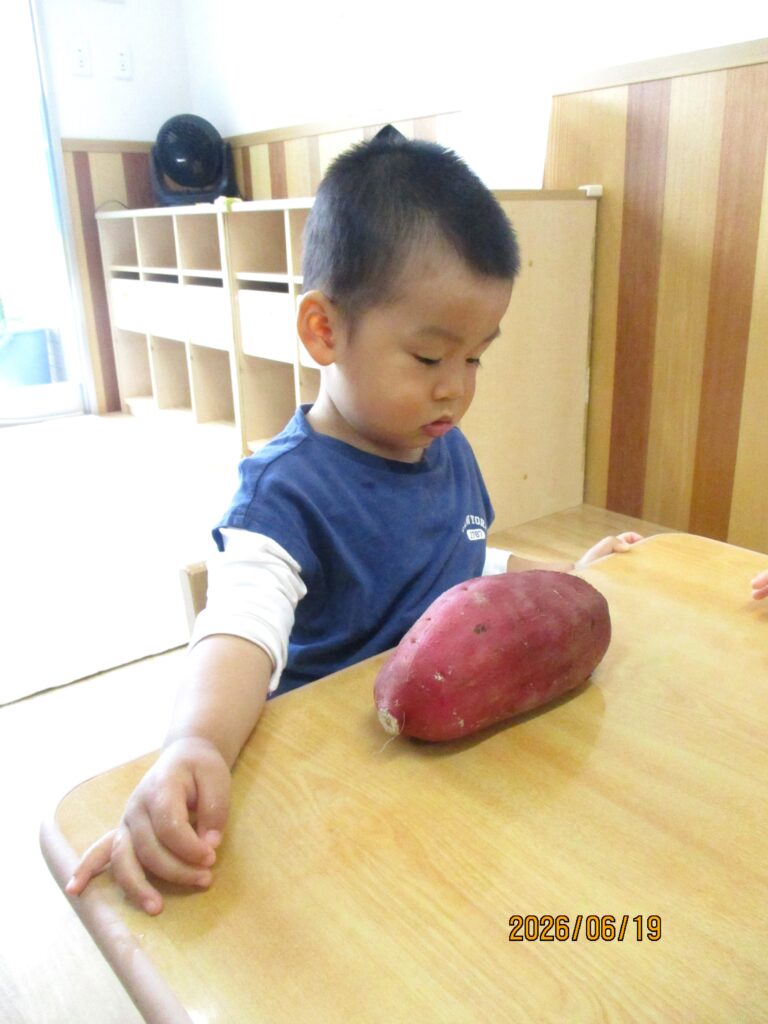 保育園　食育　野菜栽培　大阪　くじら保育園　202609-7