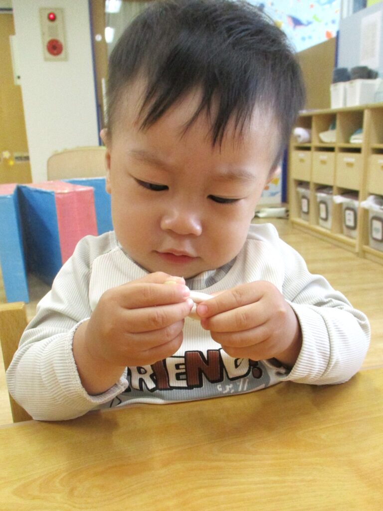 保育園　食育　野菜栽培　大阪　くじら保育園　202609-13