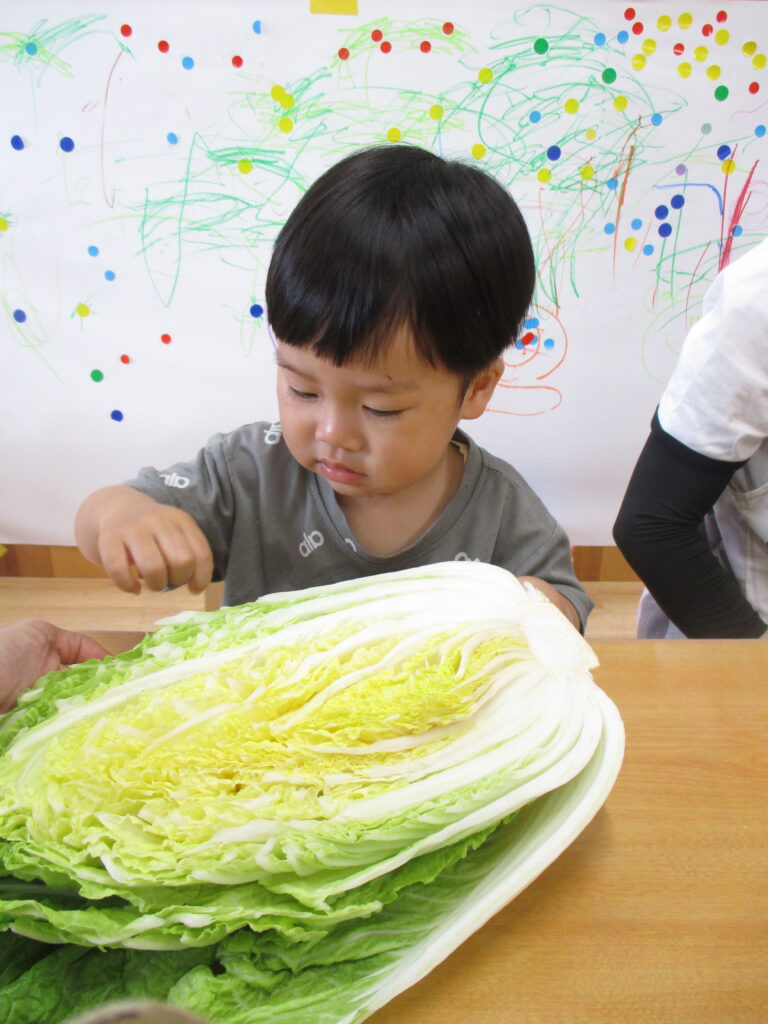 保育園　食育　野菜栽培　大阪　くじら保育園　202609-6