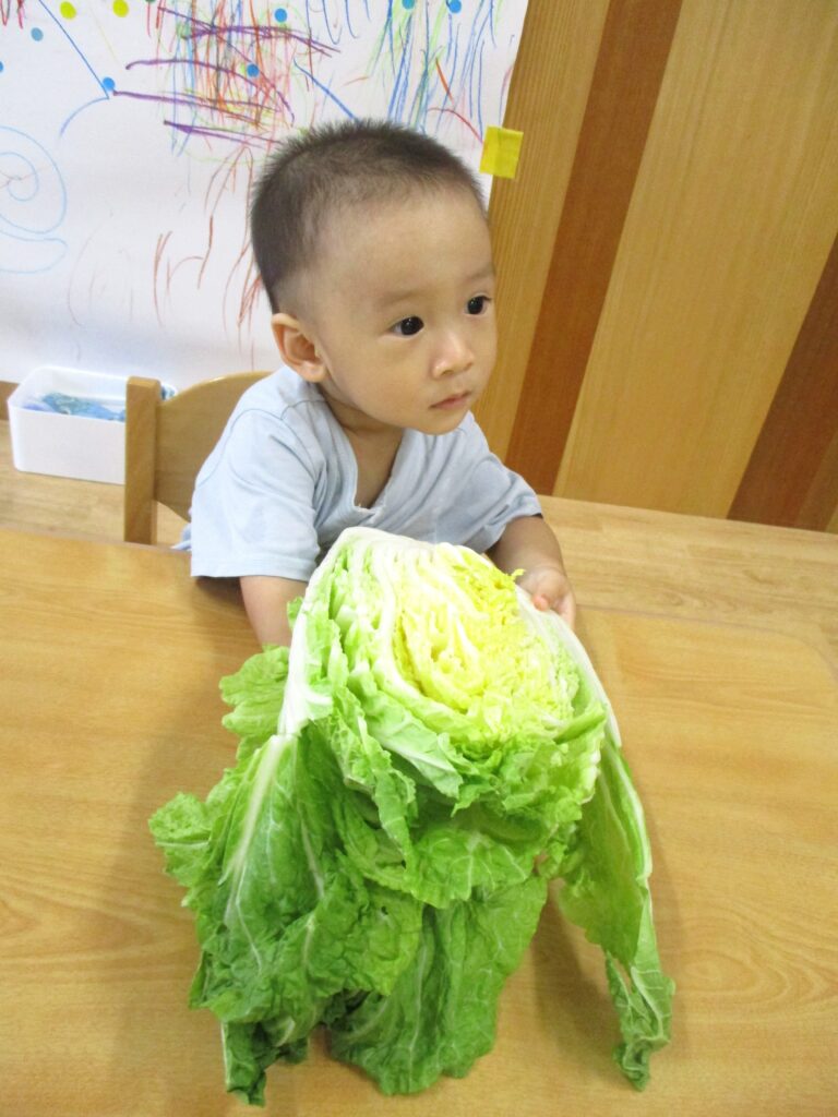 保育園　食育　野菜栽培　大阪　くじら保育園　202609-4