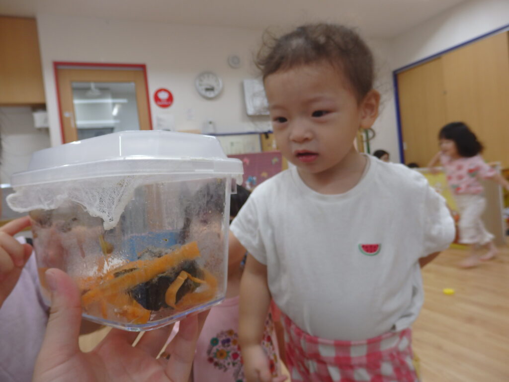 カタツムリ　飼育　大阪　保育園　くじら保育園　姫島園　202509-2