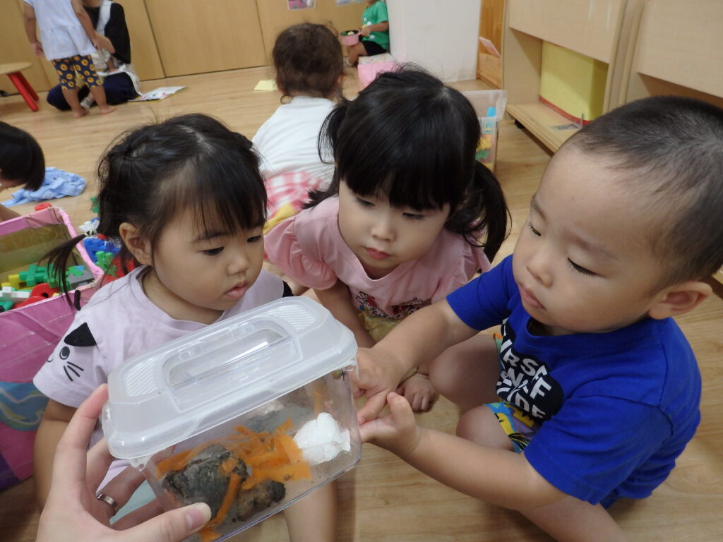 カタツムリ　飼育　大阪　保育園　くじら保育園　姫島園　202509-1