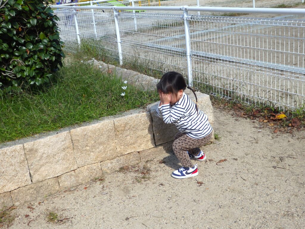 保育園 かくれんぼ 大阪 くじら保育園 202511-5