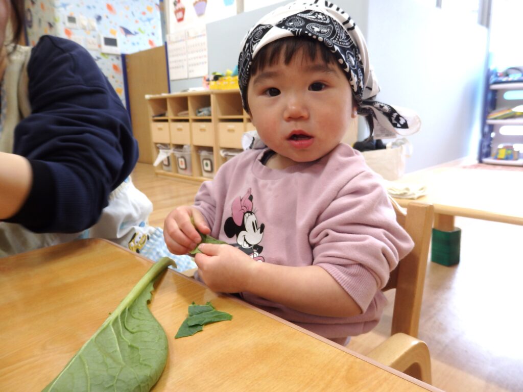 保育園の食育活動 大阪 保育園 くじら保育園 202603-1