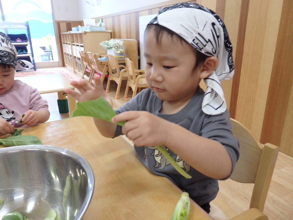 保育園の食育活動 大阪 保育園 くじら保育園 202603-4